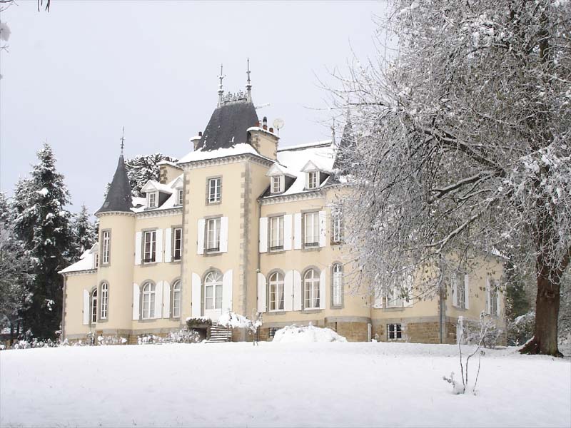 Château de Fontenaille_53500 SAINT-PIERRE-DES-LANDES_13